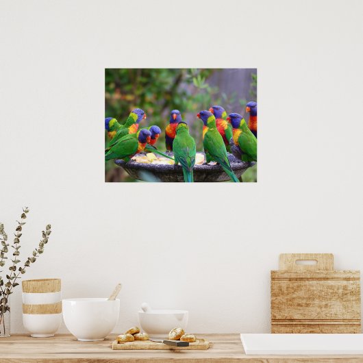 Colorful Rainbow Loriket Parrots Eating Poster (Keuken)