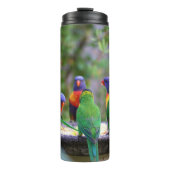 Colorful Rainbow Loriket Parrots Eating Thermosbeker (Voorkant)
