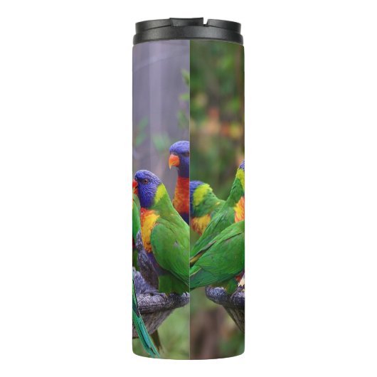 Colorful Rainbow Loriket Parrots Eating Thermosbeker (Achterkant)