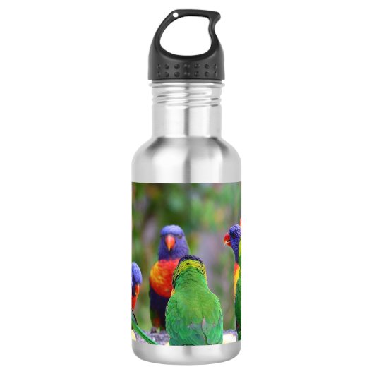 Colorful Rainbow Loriket Parrots Eating Waterfles (Voorkant)