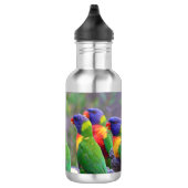 Colorful Rainbow Loriket Parrots Eating Waterfles (Rechts)