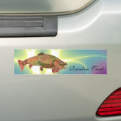COLORFUL RAINBOW TROUW BUMPERSTICKER (Op auto)