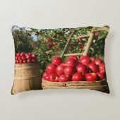 Colorful Red Apple Harvest Accent Kussen (Voorkant)