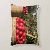 Colorful Red Apple Harvest Accent Kussen (Voorkant(Verticaal))