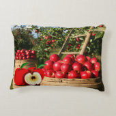 Colorful Red Apple Harvest Accent Kussen (Achterkant)