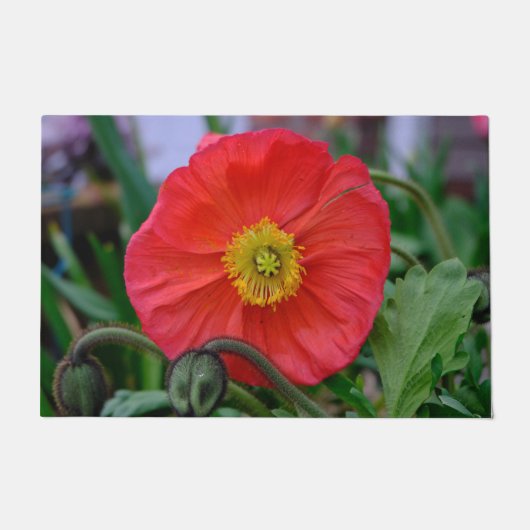Colorful Red Poppy Deurmat (Voorkant)