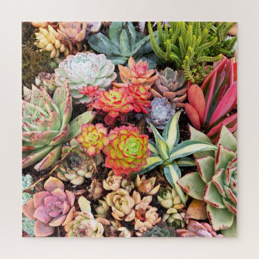 Colorful Red Succulent MixPuzzle Legpuzzel (Verticaal)