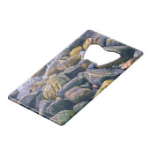 Colorful rocks    creditkaart flessenopener (Achterkant Gekanteld)