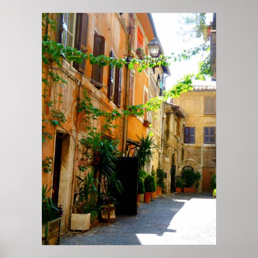 Colorful Rome Buildings Poster (Voorkant)