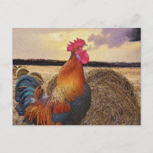 Colorful Rooster en Hay Bale Briefkaart