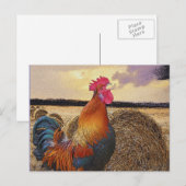 Colorful Rooster en Hay Bale Briefkaart (Voorkant / Achterkant)