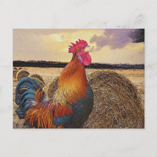 Colorful Rooster en Hay Bale Briefkaart (Voorkant)