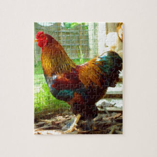 Colorful Rooster Legpuzzel