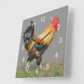 Colorful Rooster, Natuur Alarm Vierkante Klok (Hoek)