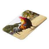 Colorful Rooster op Grass Magneet (Linkerzijde)