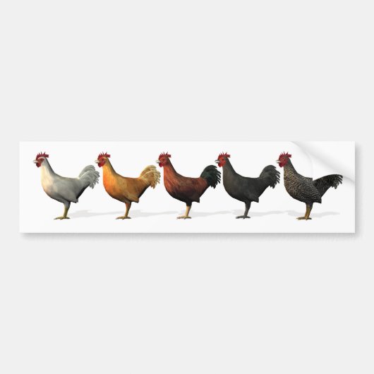 Colorful Roosters Bumpersticker (Voorkant)