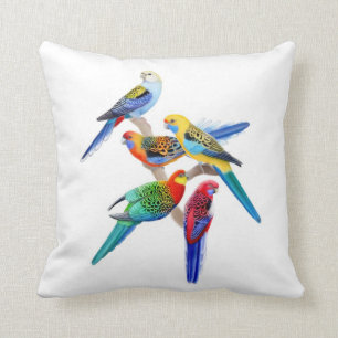 Colorful Rosella Parrots Pillow Kussen