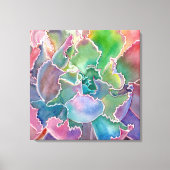 Colorful rosette succulent waterverf canvas afdruk (Voorkant)