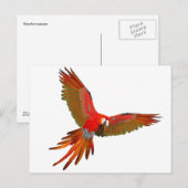 Colorful Scarlet macaw fly art Briefkaart (Voorkant / Achterkant)