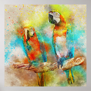 Colorful Scarlet Macaw Waterverf Poster