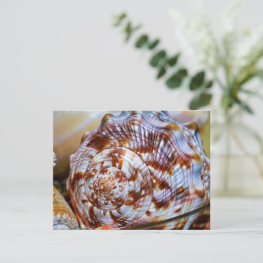 Colorful Seashell Briefkaart (Staand voorkant)