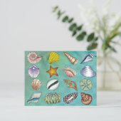 Colorful Seashell Briefkaart (Staand voorkant)