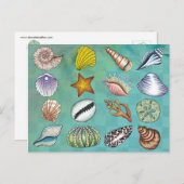 Colorful Seashell Briefkaart (Voorkant / Achterkant)