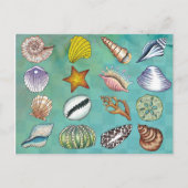 Colorful Seashell Briefkaart (Voorkant)