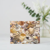 Colorful Seashells Briefkaart (Staand voorkant)