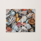 Colorful Seashells Legpuzzel (Horizontaal)