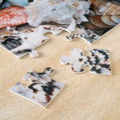 Colorful Seashells Legpuzzel (Zijkant)