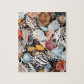 Colorful Seashells Legpuzzel (Verticaal)