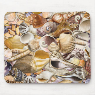 Colorful Seashells Muismat
