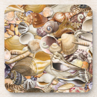 Colorful Seashells Onderzetters