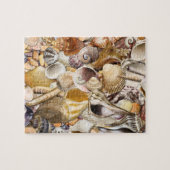 Colorful Seashells Puzzle Legpuzzel (Horizontaal)