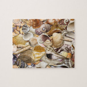 Colorful Seashells Puzzle Legpuzzel