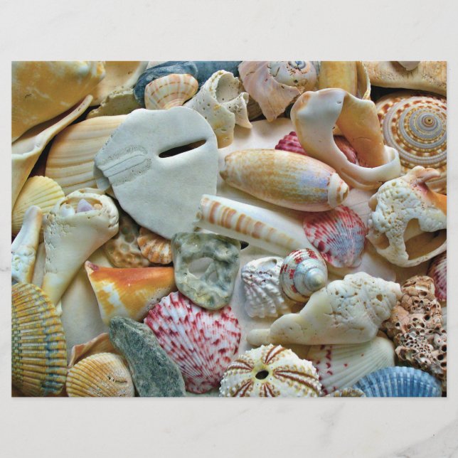 Colorful Seashells Scrapbook Pages Craft Paper (Voorkant)