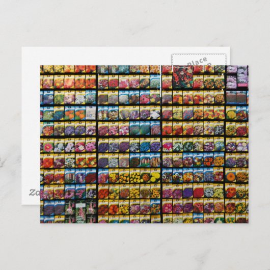 Colorful Seed Packet Briefkaart (Voorkant / Achterkant)