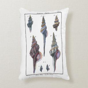 Colorful Seven Seashells Accent Kussen