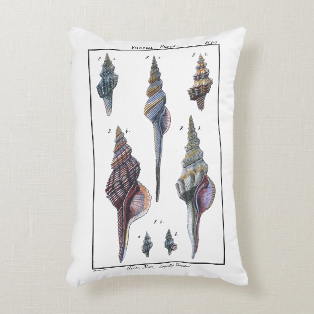 Colorful Seven Seashells Accent Kussen (Voorkant(Verticaal))