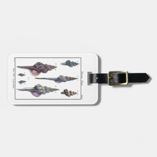 Colorful Seven Seashells Bagagelabel (Voorkant horizontaal)