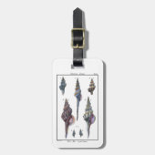 Colorful Seven Seashells Bagagelabel (Voorkant verticaal)