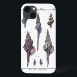 Colorful Seven Seashells iPhone 13 Hoesje<br><div class="desc">Artiest Denis Diderot is getalenteerd en bekend om zijn grote afbeeldingen in het leven van zeeen. In dit levendige afbeelding vangt hij zeven kleurrijke Conch-seizoenen in hun meest natuurlijke en unieke stijlen. De plakken worden vaak gekraakt en komen in elke vorm en grootte. Haal vandaag je zeeschol en geniet van...</div>