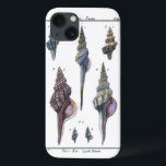 Colorful Seven Seashells iPhone 13 Hoesje<br><div class="desc">Artiest Denis Diderot is getalenteerd en bekend om zijn grote afbeeldingen in het leven van zeeen. In dit levendige afbeelding vangt hij zeven kleurrijke Conch-seizoenen in hun meest natuurlijke en unieke stijlen. De plakken worden vaak gekraakt en komen in elke vorm en grootte. Haal vandaag je zeeschol en geniet van...</div>