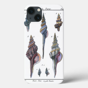Colorful Seven Seashells Case-Mate iPhone Case