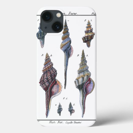 Colorful Seven Seashells Case-Mate iPhone Case (Achterkant)