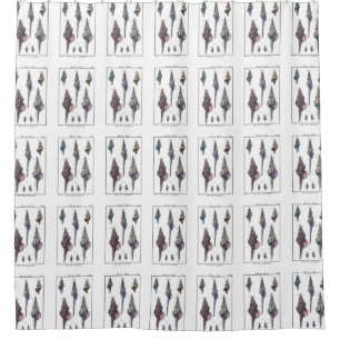 Colorful Seven Seashells Douchegordijn