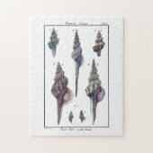 Colorful Seven Seashells Legpuzzel (Verticaal)