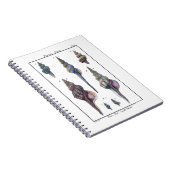 Colorful Seven Seashells Notitieboek (Rechterzijde)