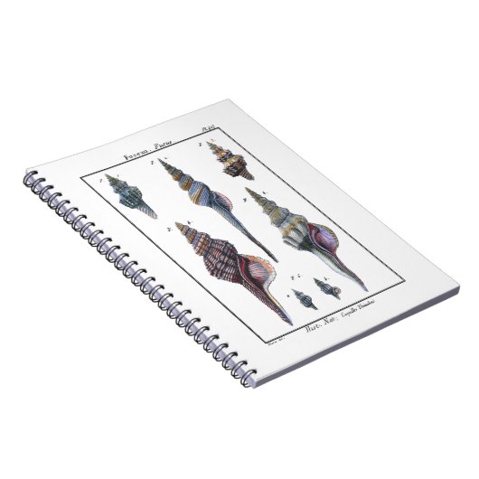Colorful Seven Seashells Notitieboek (Rechterzijde)
